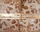 Jesusfries oder „Am laufenden Band“ Ein Fries ist ein mit plastischen oder gemalten Ornamenten und figürlichen Darstellungen ausgestaltete Fläche als Gliederung und Schmuck einer Wand. Dieses...